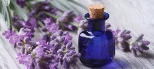 Ефірні масла від розтяжок і целюліту мигдальне, льяним, масло Веледа (целюліту) Ефірні масла від розтяжок і целюліту мигдальне, льяним, масло Веледа