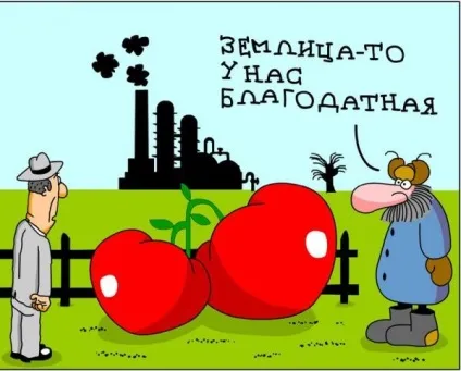 Екологічні поради на кожен день, Микитинська бібліотека (поради) Екологічні поради на кожен день, Микитинська бібліотека