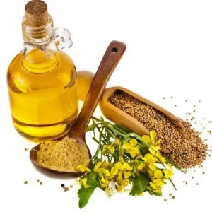 Користь різних масел для організму, їх види та особливості