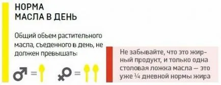 Користь різних масел для організму, їх види та особливості