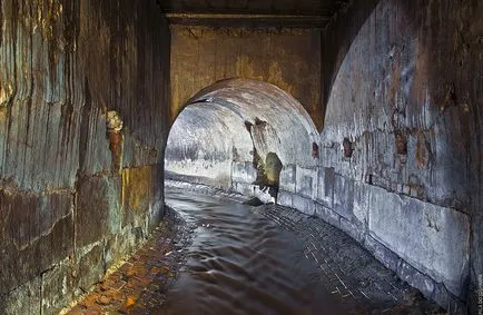 Підземні річки Москви (москви) Підземні річки москви