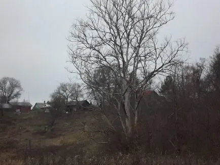 Пошук монет і скарбів з металошукачем, де шукати старовинні монети, народний копач (скарбів) Пошук монет і скарбів з металошукачем, де шукати старовинні монети, народний копач