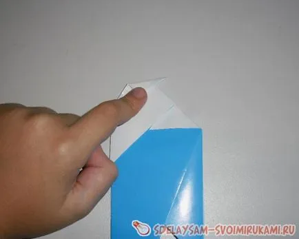 Папуга, майстер-клас своїми руками (майстер-клас) Папуга, майстер-клас своїми руками