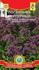 Посконник посадка і догляд у відкритому грунті, вирощування з насіння, розмноження сорту (посконник) Посконник посадка і догляд у відкритому грунті, вирощування з насіння, розмноження сорту
