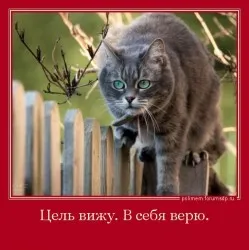Схуднути або постройнеть