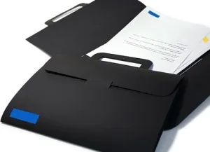 Портфелі цінних паперів та їх види (портфелі цінних паперів) Портфелі цінних паперів та їх види