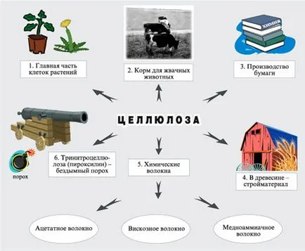 Практичний посібник з хімії