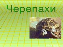Презентації з біології - завантажити безкоштовно (завантажити безкоштовно презентації з біології) Презентації з біології - завантажити безкоштовно