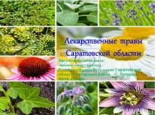 Презентації з біології - завантажити безкоштовно (Портфоліо вчителя біології) Презентації з біології - завантажити безкоштовно