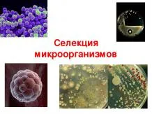Презентації з біології - завантажити безкоштовно (біології) Презентації з біології - завантажити безкоштовно