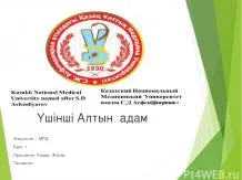 Презентації з біології - завантажити безкоштовно (готові презентації з біології) Презентації з біології - завантажити безкоштовно
