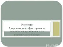 Презентації з біології - завантажити безкоштовно (презентації з біології) Презентації з біології - завантажити безкоштовно
