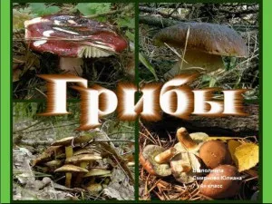 Презентації з біології