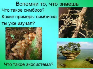 Презентації з біології