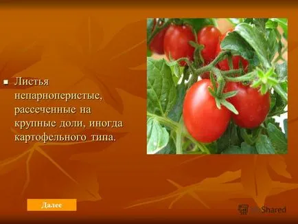 Презентація на тему реферат на тему синьйор помідор - виконав виконав Лаптєва дарья, учениця 4б (темі) Презентація на тему реферат на тему синьйор помідор - виконав виконав Лаптєва дарья, учениця 4б