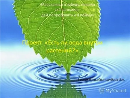 Презентація на тему розкажи і я забуду, покажи і я запам'ятаю, дай спробувати і я зрозумію - проект - (покажи і я запам'ятаю) Презентація на тему розкажи і я забуду, покажи і я запам'ятаю, дай спробувати і я зрозумію - проект -