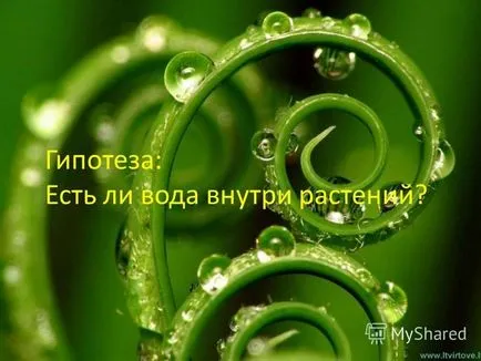 Презентація на тему розкажи і я забуду, покажи і я запам'ятаю, дай спробувати і я зрозумію - проект - (покажи і я запам'ятаю) Презентація на тему розкажи і я забуду, покажи і я запам'ятаю, дай спробувати і я зрозумію - проект -