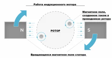 Принцип роботи трифазного індукційного двигуна (трифазного) Принцип роботи трифазного індукційного двигуна