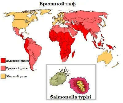 Щеплення від черевного тифу інструкція, термін дії, реакція
