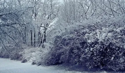 Прикмети на новий рік щоб вийти заміж, щоб гроші водилися (заміж) Прикмети на новий рік щоб вийти заміж, щоб гроші водилися