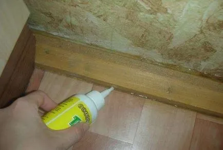 Причини появи клопів в квартирі від чого заводяться (причини появи клопів) Причини появи клопів в квартирі від чого заводяться