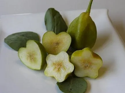 Пристосування для вирощування фігурних овочів і фруктів veggie mold купити, ціни, відгуки, фото, (фруктів) Пристосування для вирощування фігурних овочів і фруктів veggie mold купити, ціни, відгуки, фото,