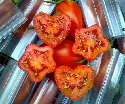 Пристосування для вирощування фігурних овочів і фруктів veggie mold купити, ціни, відгуки, фото, (пристосування) Пристосування для вирощування фігурних овочів і фруктів veggie mold купити, ціни, відгуки, фото,