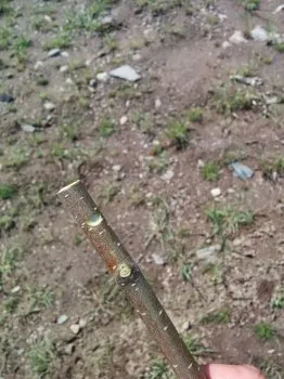 Простий свисток з гілочки, своїми руками (гілочки) Простий свисток з гілочки, своїми руками