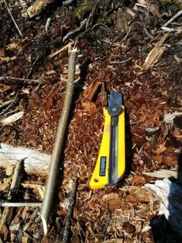 Простий свисток з гілочки, своїми руками (простий) Простий свисток з гілочки, своїми руками