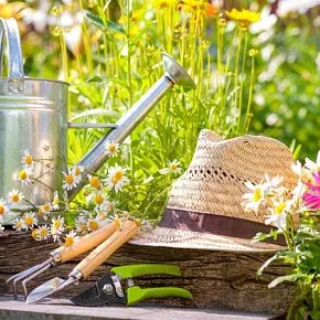 Проведення open air будь-якого масштабу (рекламне агентство в Нижньому Новгороді) Проведення open air будь-якого масштабу