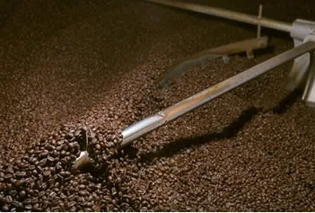 походження illy