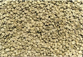 походження illy