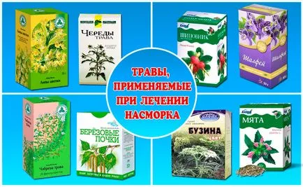 Простудний нежить - чим і як лікувати соплі при застуді (лікувати) Простудний нежить - чим і як лікувати соплі при застуді