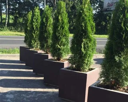 Виробництво і продаж виробів з бетону для міських потреб (бетону) Виробництво і продаж виробів з бетону для міських потреб