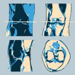 Radiant dicom viewer, ru