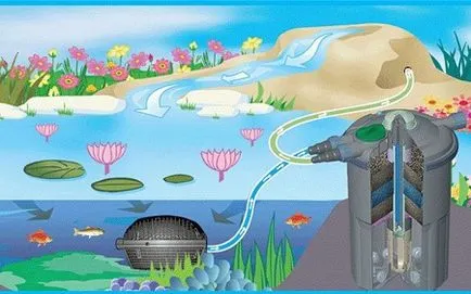 Ставок або декоративна водойма на присадибній ділянці (Такі системи мають) Ставок або декоративна водойма на присадибній ділянці