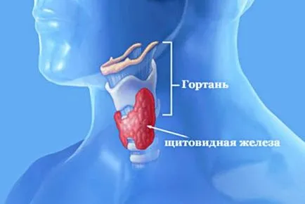 Радіойодтерапією щитовидної залози - сибірський медичний портал (рак щитовидної залози) Радіойодтерапією щитовидної залози - сибірський медичний портал