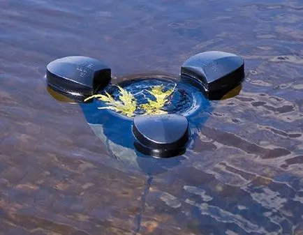 Ставок або декоративна водойма на присадибній ділянці (ставок) Ставок або декоративна водойма на присадибній ділянці