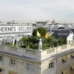 Рослини на покрівлі будинку - враховуємо всі нюанси (рослини) Рослини на покрівлі будинку - враховуємо всі нюанси