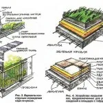 Рослини на покрівлі будинку - враховуємо всі нюанси (рослини) Рослини на покрівлі будинку - враховуємо всі нюанси