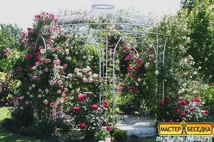 Рослини навколо альтанки (31 фото красивих квітів і прикладів їх висадки) (альтанки) Рослини навколо альтанки (31 фото красивих квітів і прикладів їх висадки)