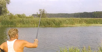 річковий лящ