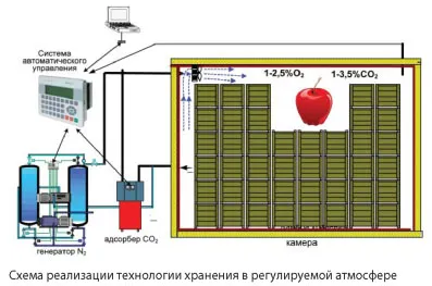 Регульована і модифікована атмосфера (модифікована) Регульована і модифікована атмосфера