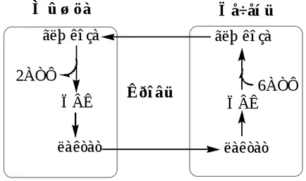 Регуляція обміну вуглеводів