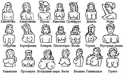 Різні форми жіночих грудей фото, опис (різні) Різні форми жіночих грудей фото, опис