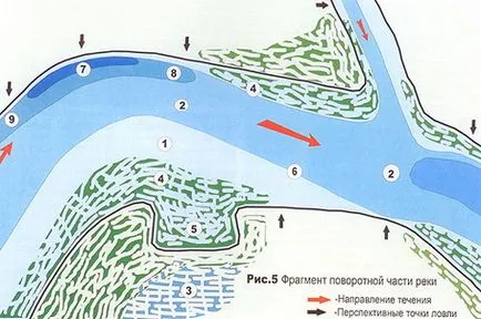 річковий лящ
