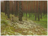 Режими зйомки дзеркального фотоапарата який режим краще (зйомка в ручному режимі) Режими зйомки дзеркального фотоапарата який режим краще