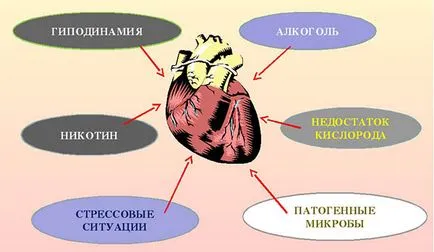 Різкий біль в серці, причини, при вдиху (серце) Різкий біль в серці, причини, при вдиху