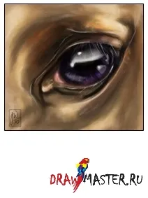 Малюємо очей коня