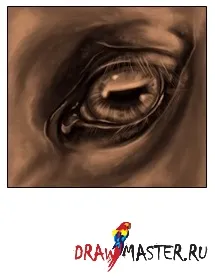 Малюємо очей коня